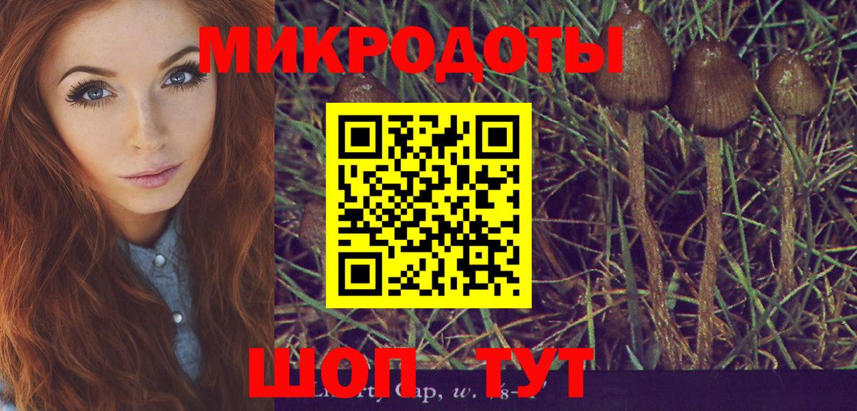 Галлюциногенные грибы Magic Shrooms Ногинск
