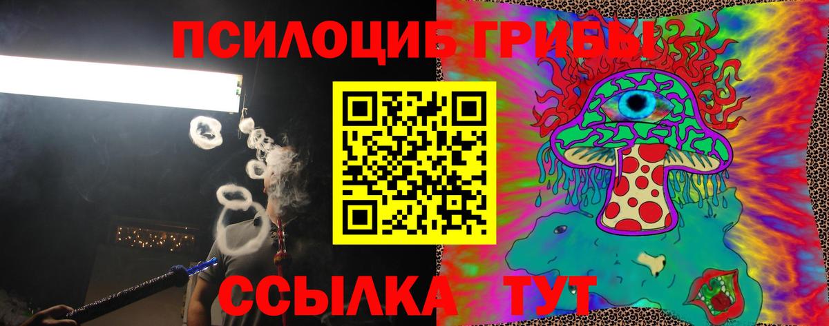 магазин продажи наркотиков  Псилоцибиновые грибы Psilocybe  Вход с VPN  Ногинск 